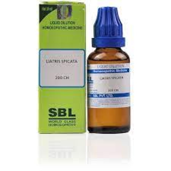 Liatris Spicata